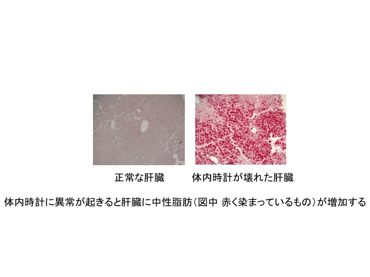 Laboratory of Health Science