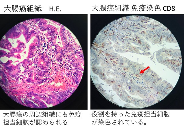 Laboratory of Clinical Medicine