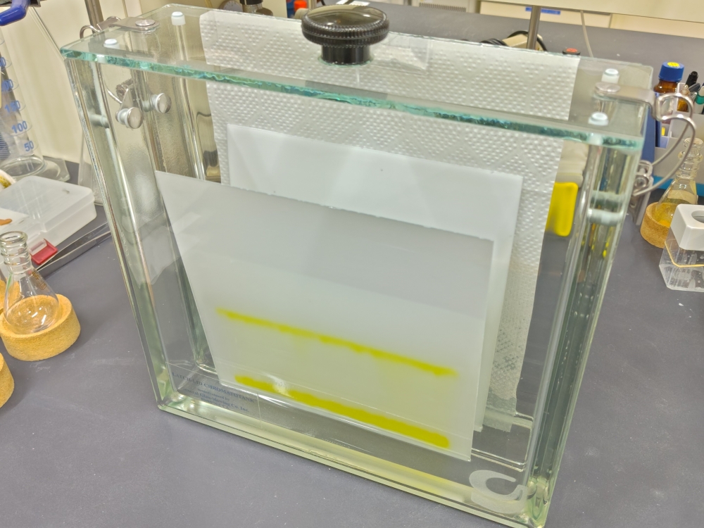 分取薄層クロマトグラフィーで目的物を単離する