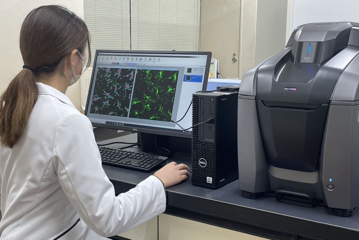 蛍光染色した細胞の顕微鏡下での観察と撮影