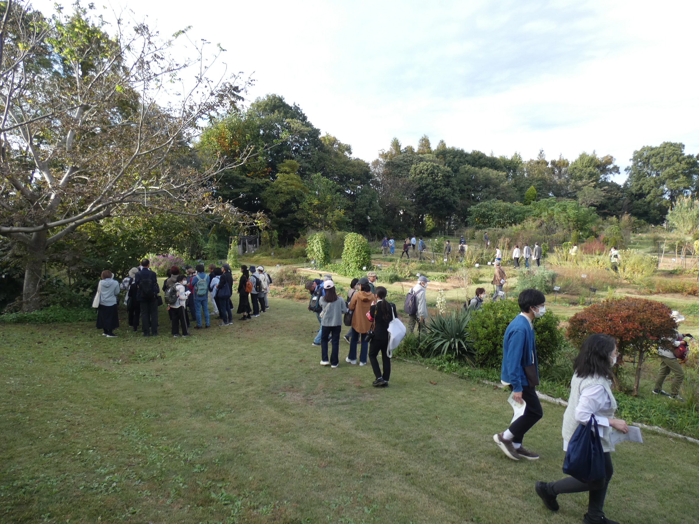 薬用植物園内の見学