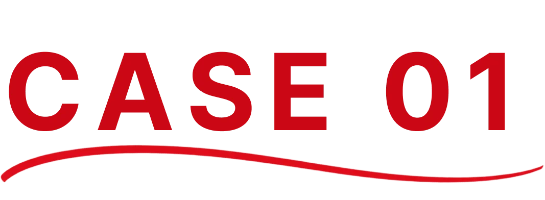 CASE 01