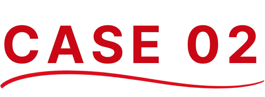 CASE 02