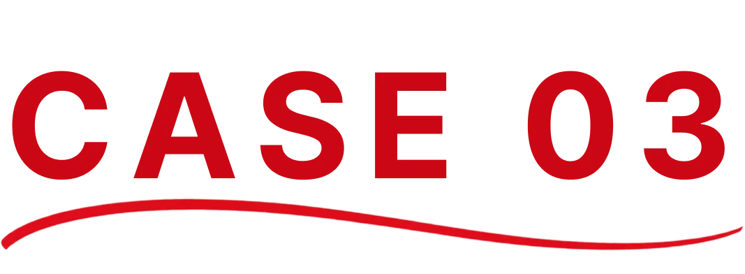 CASE 03